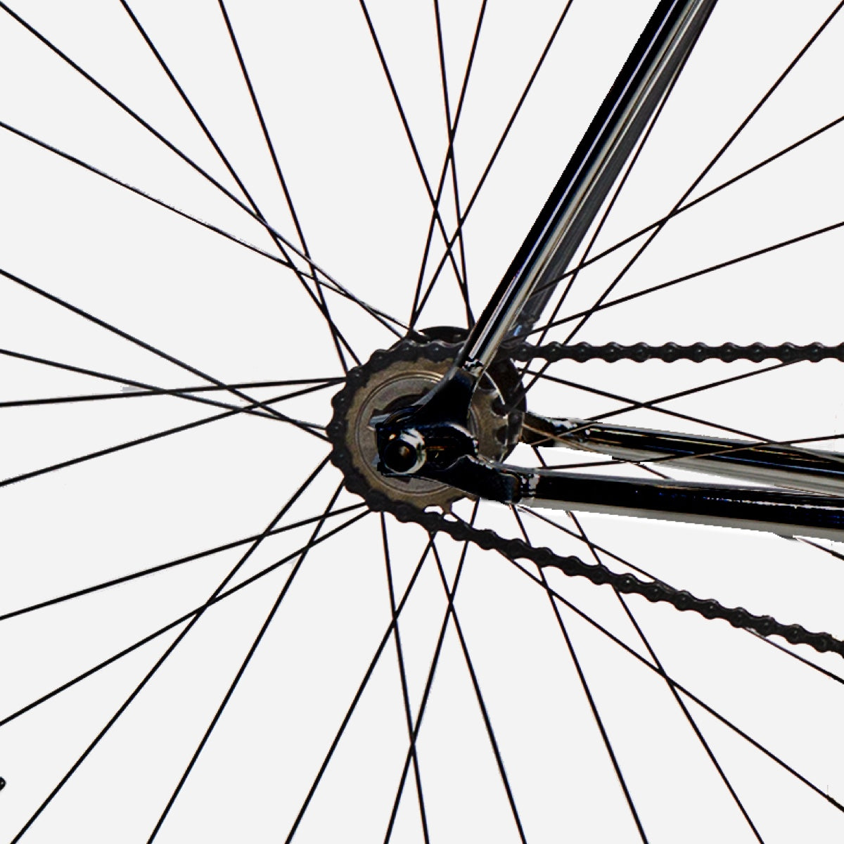 JITENSHA Tokyo Black | JITENSHA