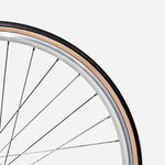 E-JITENSHA Tokyo Chrome